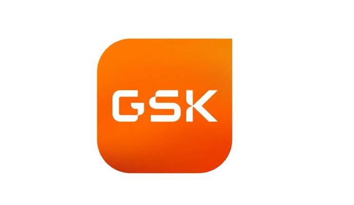 Logo 3